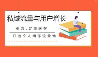 掌握流量推广的秘诀，实现业务增长如何做流量推广赚钱