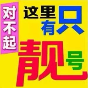 手机靓号号代理，市场潜力与挑战手机靓号代理渠道