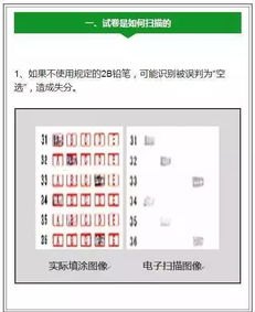 探索 52 号卡分销的奥秘52号卡分销系统