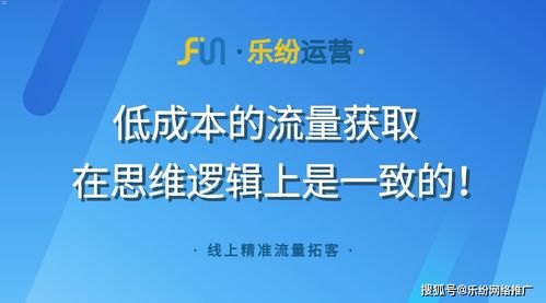 掌握这些推广技巧，轻松获得流量！怎么推销流量