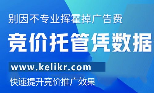 网络流量推广，提升网站曝光与业务增长的关键策略网络流量推广公司