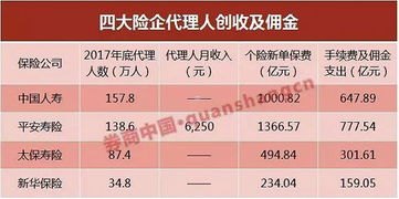 企业宽带代理，提升企业网络效率的关键选择企业宽带代理费用怎么算