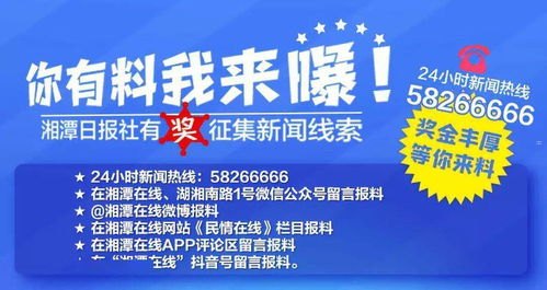 共创号卡分销，打造共赢的合作模式共创号卡分销系统官网