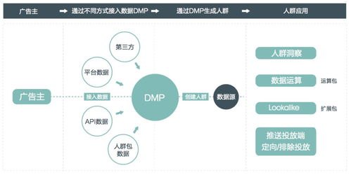 流量推广网络平台，助力企业增长的关键流量推广网络平台有哪些