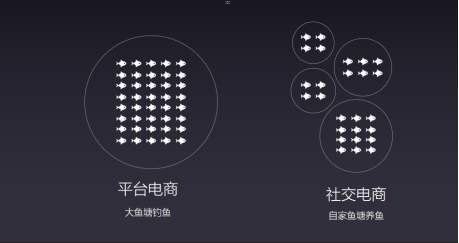 敢探号分销，探索社交电商的新机遇敢探号分销系统