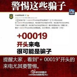 探索向东号卡——畅享无限可能