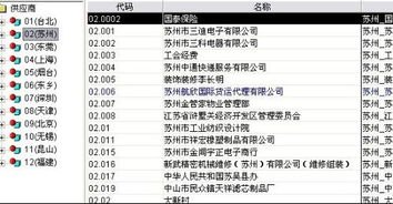 敢探号供应商代码的奥秘敢探号供应商代码怎么查