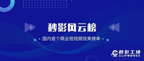 172 号卡总代理，揭秘背后的商业帝国170手机卡代理