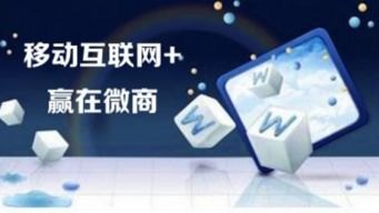 开启流量卡代理新时代流量卡一手代理在哪里拿货