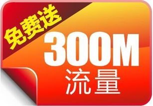 同城流量推广，打造本地品牌的关键策略如何获得同城流量推广码