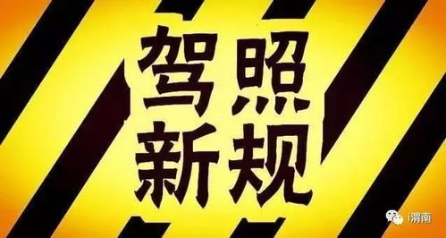 敢探号一级供应商，创新与卓越的典范敢探号一级供应商代码