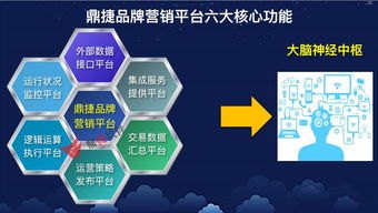 探索 52 号卡分销系统的奥秘与优势52号卡分销系统官网查询