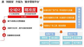 流量平台推广，解锁数字营销的奥秘流量平台推广怎么做