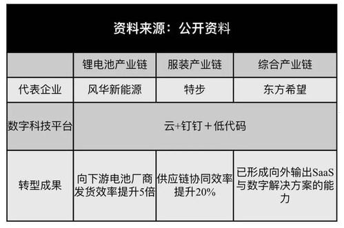 敢探号供应商一级代码，探索创新的关键敢探号订单管理与分销系统