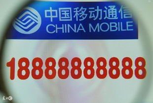 手机靓号全国招代理——开启财富之门的绝佳机会手机靓号全国招代理吗