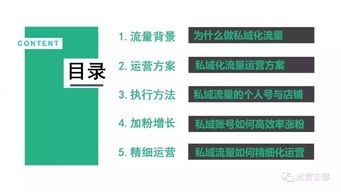 流量推广运营的策略与技巧流量推广运营公司