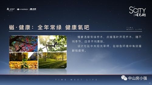 联通卡代理，开启通信新时代的机遇与挑战联通卡代理怎么做