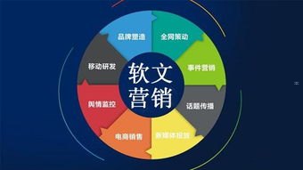 流量推广计划，提升品牌知名度与销售的关键策略流量推广计划怎么写