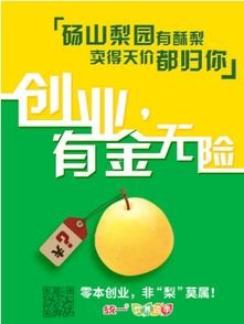 号卡分销源码，实现创业梦想的新途径号卡分销源码对接敢探号