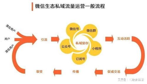 流量为王——利用流量推广产品的终极指南流量推广产品怎么做