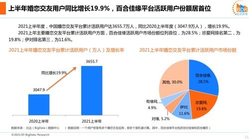 创新推广策略，提升电话卡市场份额电话卡推广方案怎么写