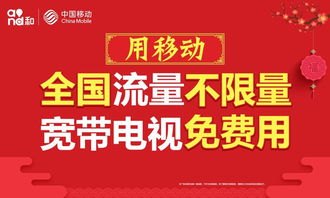 电信纯流量卡代理，开启无限流量新时代电信纯流量卡代理怎么办理