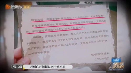 探索敢探号一级供应商的奥秘敢探号一级供应商代码