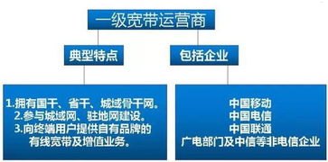 宽带代理商，连接数字世界的桥梁宽带服务商官方网站