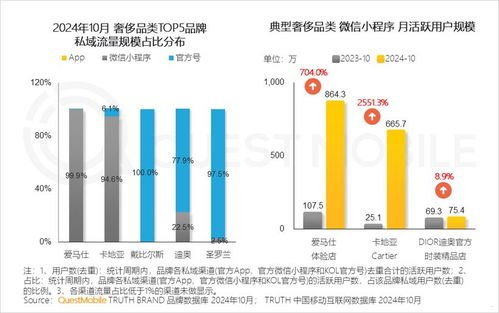 App 流量推广，提升应用曝光与用户增长的关键策略app流量推广是什么业务