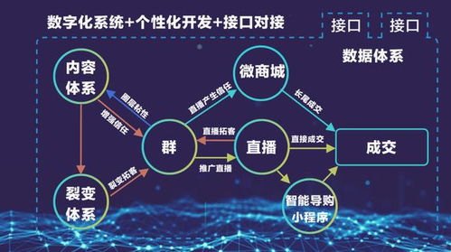 深入解析流量推广的含义与策略流量推广是做什么