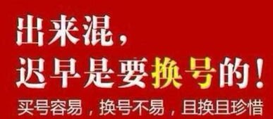 手机靓号代理，引领潮流的通信选择全国手机靓号代理加盟