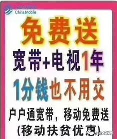 流量卡狂欢，畅享无限可能！流量卡推广软文