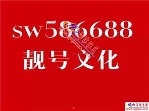 手机靓号销售渠道的探索与创新手机靓号销售渠道有哪些