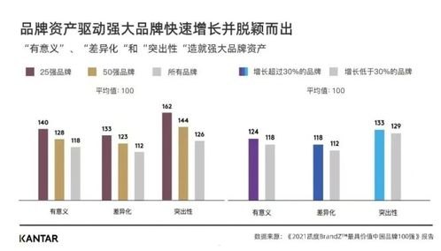 流量推广平台，提升品牌曝光与业务增长的关键流量推广平台有哪些