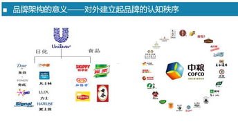 号卡分销系统注册，开启数字营销新时代81号卡分销系统注册