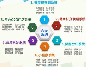 卡号分销，选择合适平台的重要性与建议卡号分销去哪个平台好一点呢