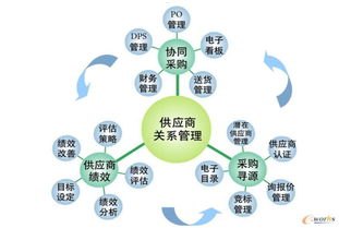 探索敢探号供应商一级代码的奥秘敢探号订单管理与分销系统