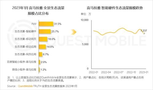 App 流量推广，提升应用曝光与用户增长的策略指南app流量推广是什么业务