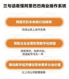 共创卡号分销系统，创新商业模式的引领者共创卡号分销系统官网