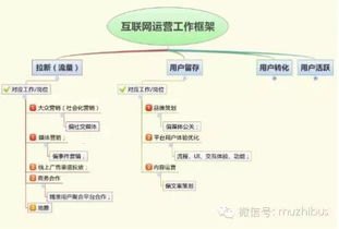 掌握这些推广引流技巧，让你的业务飞升！如何推广引流量产品