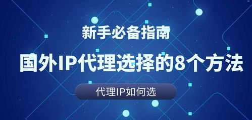 免费流量代理，合法与风险并存的网络捷径免费流量代理app