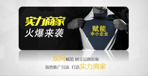 探索多样化的推广流量渠道，提升品牌影响力推广流量渠道有哪些