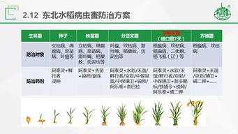 号卡推广管理平台，提升营销效率的利器号卡推广管理平台官网