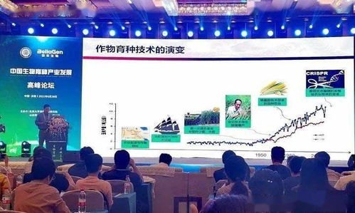 探索卡世界号卡推广平台，创新与机遇卡世界号卡推广平台官网
