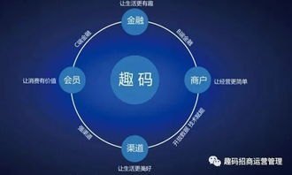 打造流量引擎，平台推广的秘诀与策略平台如何推广吸引流量的方法