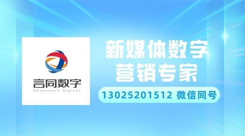 敢探号号卡分销，开启无限商机的新途径敢探号号卡分销系统