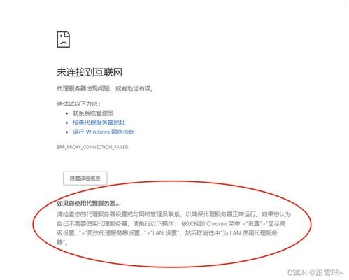 联网卡代理，实现便捷网络连接的途径互联网卡代理