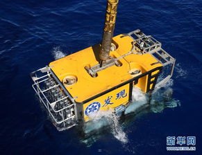 探秘探号探号代表什么意思啊