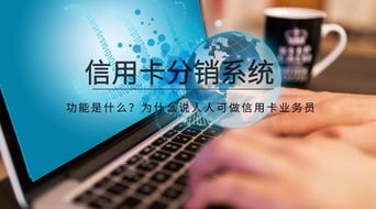 温妤号卡分销系统，创新模式助力商业成功