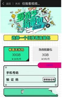 流量卡后台代理，市场机遇与运营策略深度解析流量卡代理系统